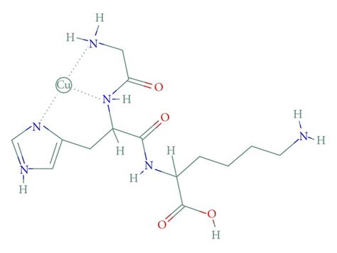 Diagram illustrating the molecular structure of GHK-Cu, showing the GHK tripeptide bound to a copper ion.