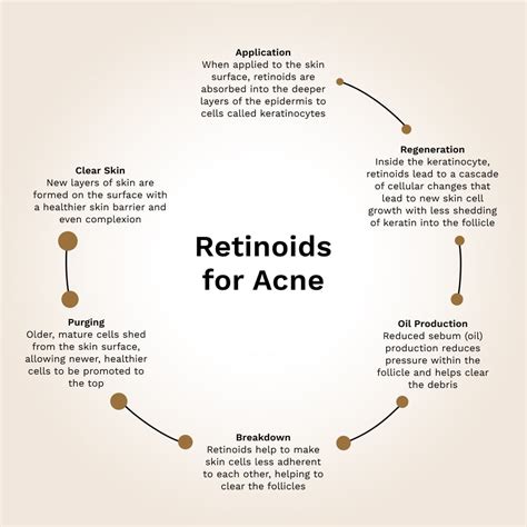 Infographic explaining the conversion process of different retinoids to retinoic acid.