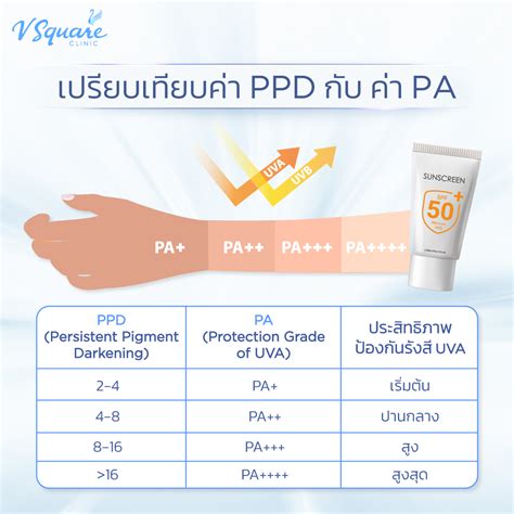 Diagram illustrating PPD levels and corresponding PA ratings for sunscreens