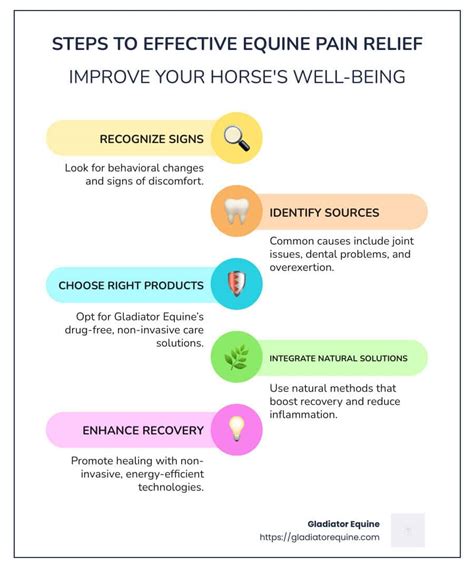 Infographic detailing the steps for applying equine shampoo