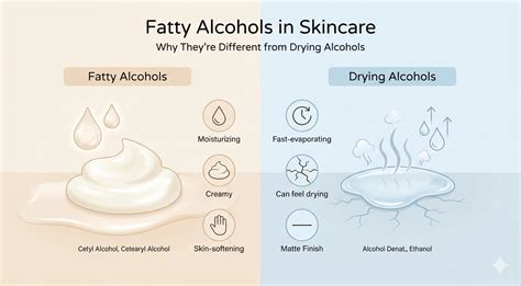 A graphic illustrating the various types of alcohols used in skincare and their potential effects on the skin.
