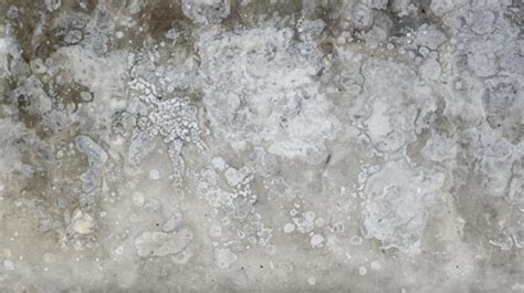 Close-up image of efflorescence on a concrete foundation wall.