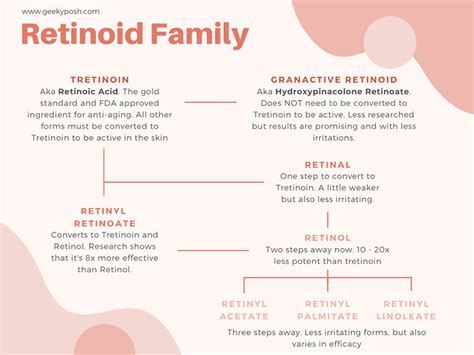 A visual representation of the retinoid family tree, highlighting Retinyl Propionate's position and relationship to Retinol and Retinoic Acid.
