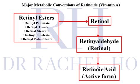 Infographic comparing Retinol, Retinaldehyde, and Retinoic Acid conversion steps in the skin.