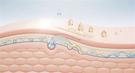 Illustration showing water droplets being absorbed by wristbands instead of dripping down an arm.