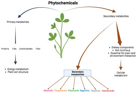 Diagram showing the synergistic action of WellaNail's key ingredients.