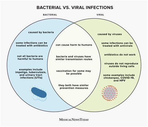 Infographic comparing bacterial vs. viral eye infections in cats