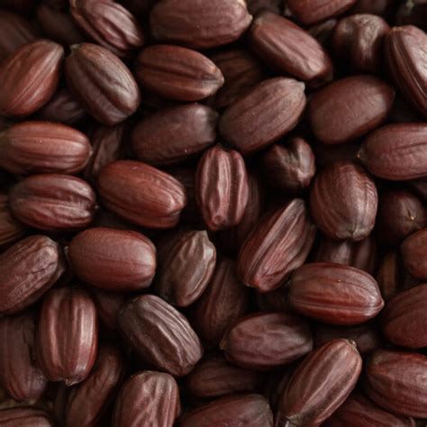 Close-up image of jojoba seeds and jojoba oil