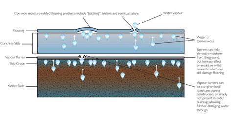 Infographic showing common sources of moisture in concrete floors (condensation, groundwater, leaks).