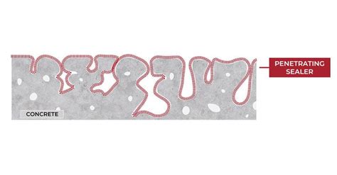 Close-up of concrete surface showing the microscopic pores that sealers penetrate.