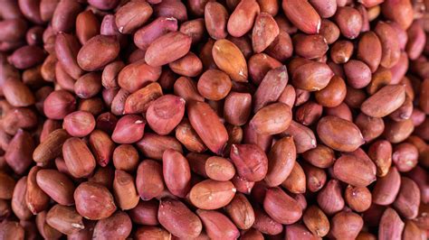 Close-up of Spanish peanuts showing their red skin and small kernels