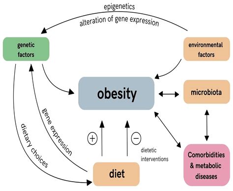 Diagram illustrating the interplay of diet, stress, hormones, and genetics in acne development.