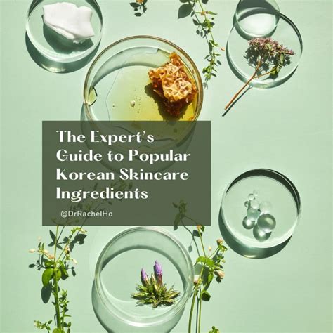 Infographic showcasing popular Korean skincare ingredients and their benefits.