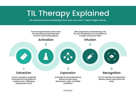 Infographic illustrating the process of TIL therapy for melanoma.