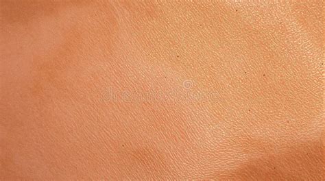 Close-up of skin showing a smooth, hydrated texture after applying Bio-Oil Body Lotion.