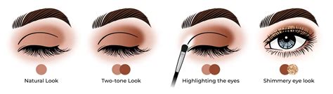 Diagram illustrating the application of darker eyeshadow in the eye crease.