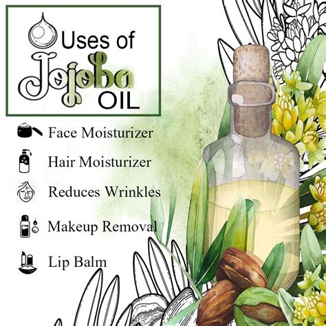 Diagram illustrating the various applications of jojoba oil on the face, body, and hair.