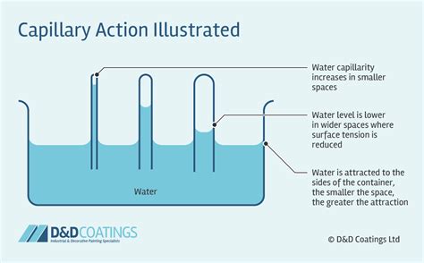 Diagram illustrating capillary action in fabric fibers, showing water moving upwards through microscopic spaces due to adhesion and cohesion.
