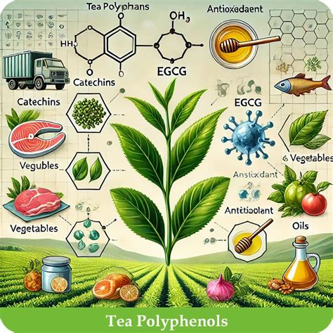Close-up illustration or microscopic view of green tea polyphenols, highlighting their antioxidant structure.