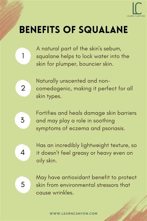 Infographic detailing the benefits of key ingredients like Squalane, Niacinamide, and Bakuchiol in skincare.