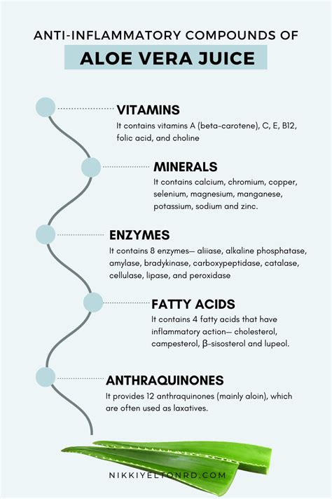 Infographic detailing the antioxidant and vitamin content of Aloe Vera