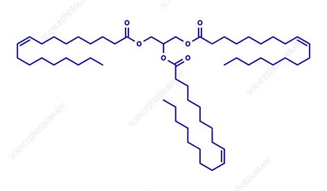 Illustration comparing the molecular structure of olive oil and human sebum