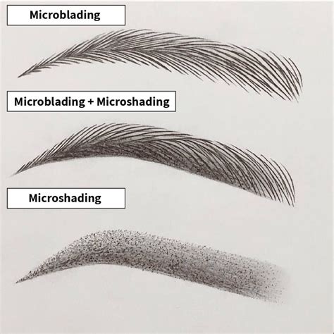 Illustration comparing the hair-like strokes of microblading with the powdered effect of microshading.