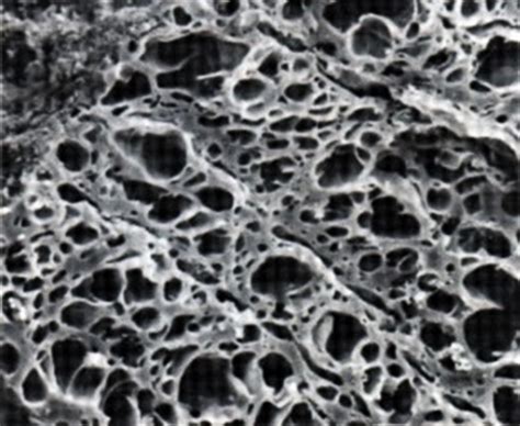 A microscopic view illustrating the porous structure of activated charcoal, showing numerous tiny cavities.
