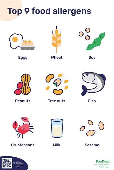 Diagram illustrating common allergens for French Bulldogs, including wheat, meat, eggs, and dairy.