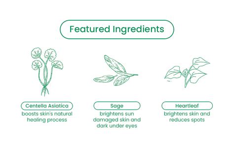 A close-up infographic illustrating the soothing and hydrating properties of Heartleaf and Centella Asiatica.