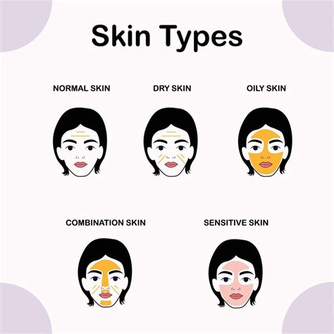 Infographic illustrating the five primary skin types: normal, oily, dry, sensitive, and combination, with brief descriptions of their characteristics.