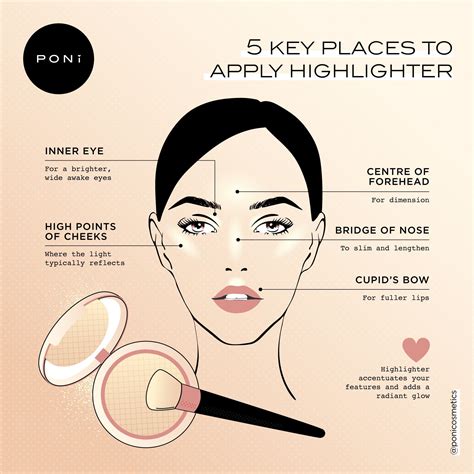 An infographic showing the key points on the face where highlighter should be applied.