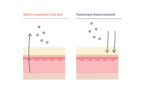Visual representation of honey's humectant properties, drawing moisture from the air.