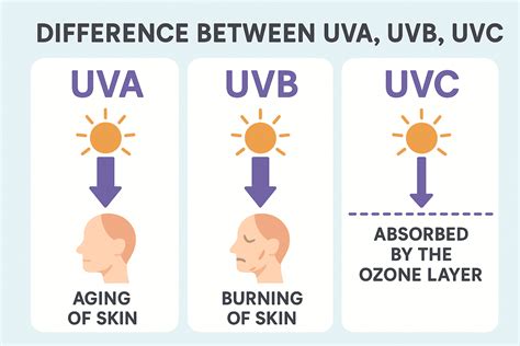 An infographic illustrating the UVA and UVB spectrums and where each active ingredient provides protection.