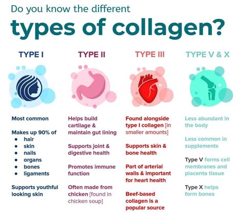 Infographic explaining the different types of collagen and their primary benefits.