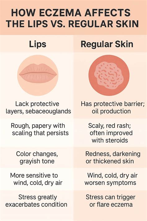 Infographic illustrating the sensitivity of lips to sun exposure compared to other skin areas.