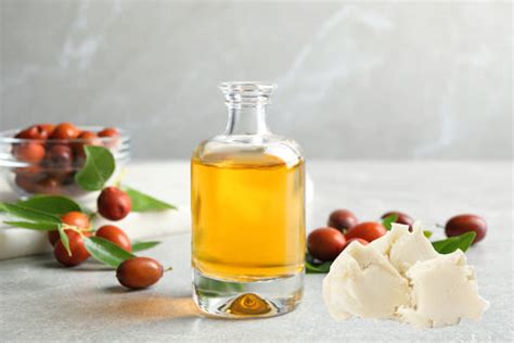 Collage of images showcasing key ingredients like shea butter, jojoba oil, and raspberry seed oil.