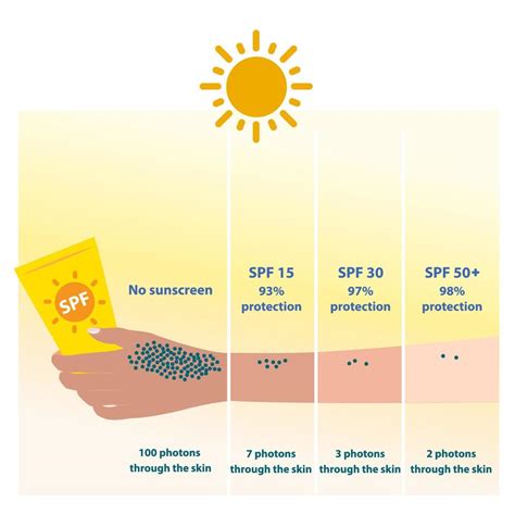 Infographic showing the importance of daily SPF protection for all skin types.