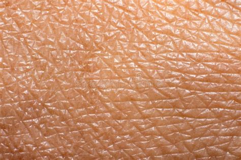 Close-up of skin texture showing improved hydration and smoothness after using collagen cream.